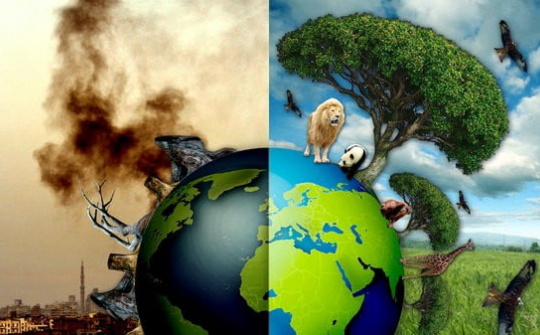 Improving the legal framework for combating environmental crimes