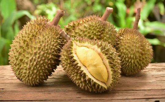 Đắk Lắk vào mùa sầu riêng: Điểm hẹn mới của du lịch nông nghiệp