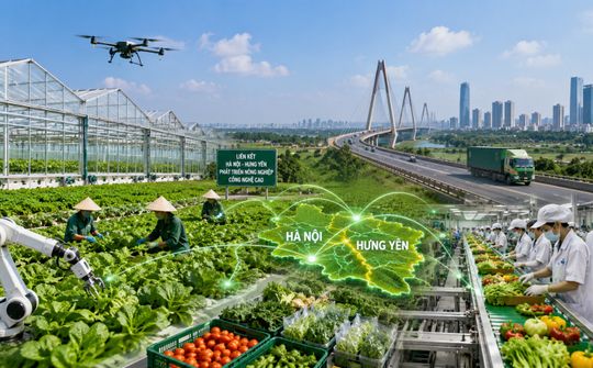 Mở rộng không gian liên kết, kiến tạo chuỗi giá trị nông sản công nghệ cao Hà Nội - Hưng Yên