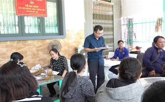 Phường Châu Đốc ra mắt Chi hội Trồng mít khóm Mỹ An, thúc đẩy liên kết sản xuất