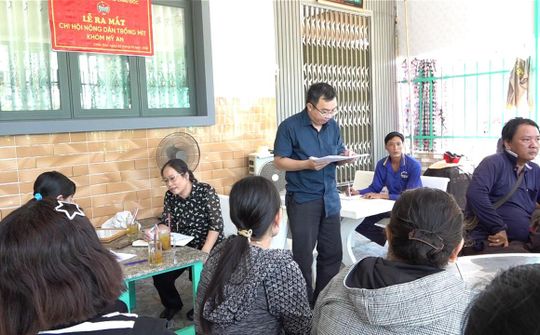 Phường Châu Đốc ra mắt Chi hội Trồng mít khóm Mỹ An, thúc đẩy liên kết sản xuất