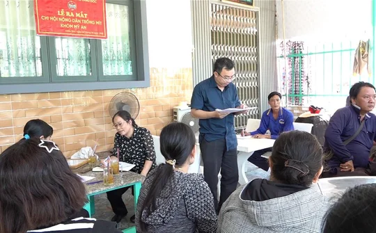 Phường Châu Đốc ra mắt Chi hội Trồng mít khóm Mỹ An, thúc đẩy liên kết sản xuất