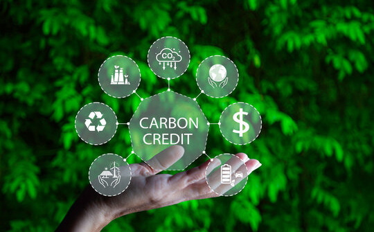 Thị trường tín chỉ carbon: Khơi mở nguồn lực mới cho tăng trưởng xanh và hội nhập quốc tế