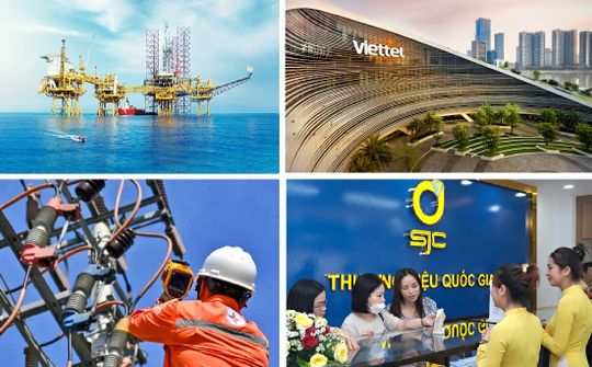 Cải cách pháp luật về đầu tư công và quản lý vốn nhà nước