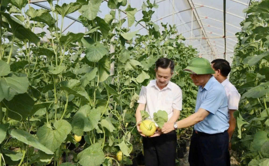 Thanh Hóa: Phát huy tiềm năng, thúc đẩy nông nghiệp phát triển bền vững