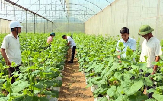 Thanh Hóa tháo gỡ điểm nghẽn, khơi thông dư địa tăng trưởng
