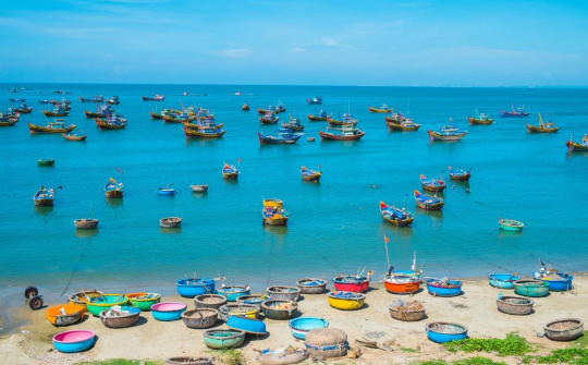 Phát huy lợi thế đô thị trung tâm, nâng cao thu nhập người dân Phan Thiết