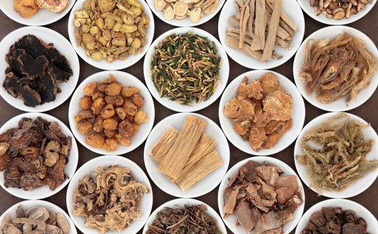 Quảng Ngãi: biến lợi thế dược liệu đặc hữu thành giá trị kinh tế cao