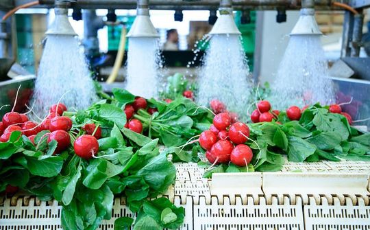 Liên kết vùng: Từ kết nối nguồn lực đến nâng tầm năng lực cạnh tranh doanh nghiệp