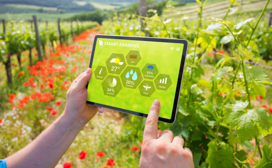 Kỹ năng xanh – nền tảng nhân lực cho hành trình chuyển đổi bền vững của doanh nghiệp Việt