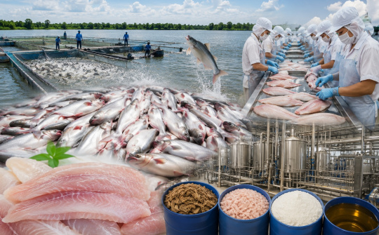 Từ phụ phẩm đến nguồn tài nguyên, mở rộng giá trị toàn chuỗi cá tra