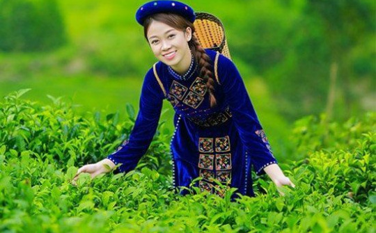 Từ “đạt sao” đến tạo giá trị: Nâng tầm OCOP bằng chất lượng, thương hiệu và thị trường