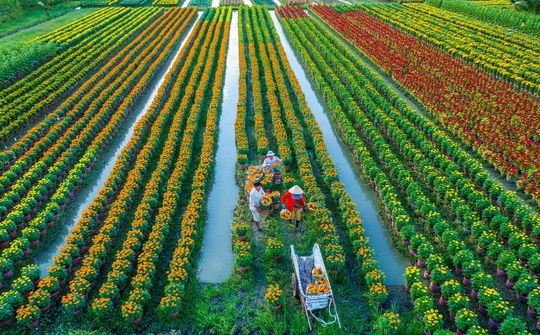 Đa dạng hóa sinh kế: Chìa khóa mở rộng không gian phát triển kinh tế nông thôn