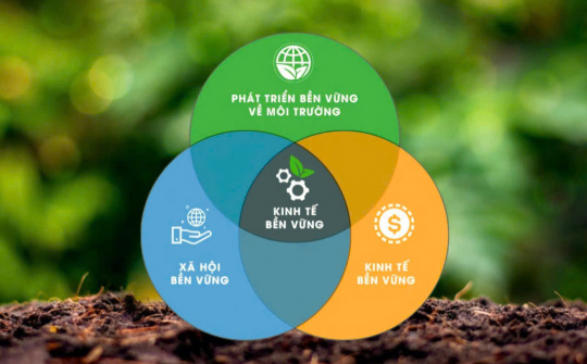 Phát triển xanh: Tạo xung lực từ Chương trình hành động của Bộ Chính trị