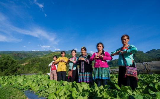 Phát huy tiềm năng bản địa: Hướng đi bền vững trong hỗ trợ sinh kế vùng núi