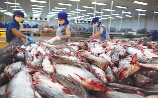 Thủy sản Việt Nam: Mở rộng không gian tăng trưởng, giảm phụ thuộc vào một thị trường