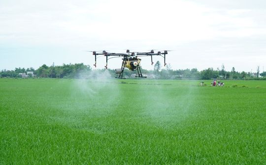 Từ nâng cao hiệu quả sản xuất đến phát triển nông nghiệp đa giá trị