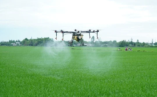 Từ nâng cao hiệu quả sản xuất đến phát triển nông nghiệp đa giá trị