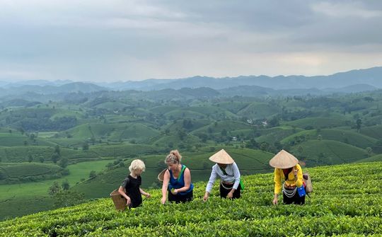 Du lịch nông thôn trong tiến trình phát triển nông thôn mới: từ khai thác tài nguyên đến kiến tạo giá trị