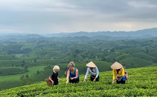 Du lịch nông thôn trong tiến trình phát triển nông thôn mới: từ khai thác tài nguyên đến kiến tạo giá trị