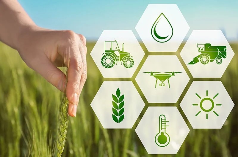 Đơn vị sự nghiệp công lập nông nghiệp và môi trường: Từ sắp xếp bộ máy đến nâng chất lượng dịch vụ công