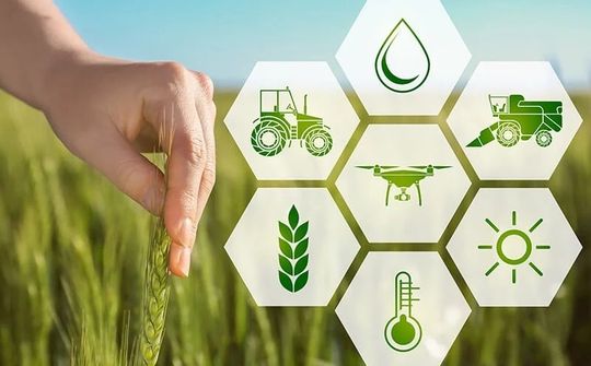 Đơn vị sự nghiệp công lập nông nghiệp và môi trường: Từ sắp xếp bộ máy đến nâng chất lượng dịch vụ công