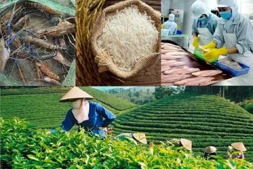 Nâng giá trị nông sản Việt trong chuỗi cung ứng toàn cầu