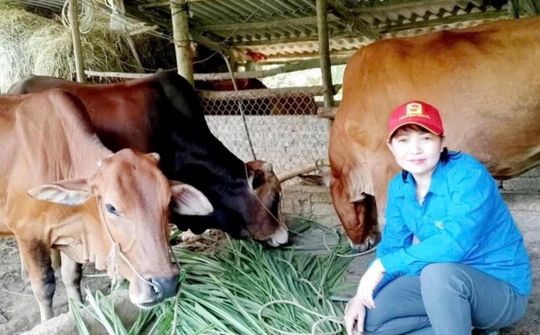Tạo động lực mới cho phát triển vùng đồng bào dân tộc thiểu số Lào Cai