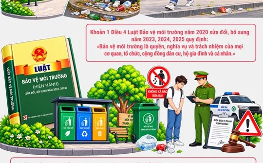 Xả rác nơi công cộng - Hành vi nhỏ, hậu quả lớn