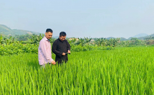 Xã Lâm Giang: Vững vàng trên hành trình thực hiện Mô hình chính quyền địa phương hai cấp