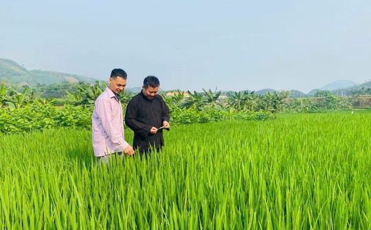 Xã Lâm Giang: Vững vàng trên hành trình thực hiện Mô hình chính quyền địa phương hai cấp