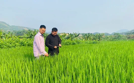 Xã Lâm Giang: Vững vàng trên hành trình thực hiện Mô hình chính quyền địa phương hai cấp