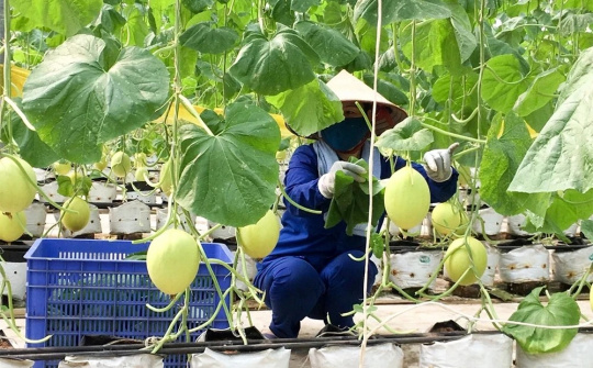 Kiến tạo không gian phát triển cho kinh tế tư nhân: Từ thực tiễn Phú Thọ