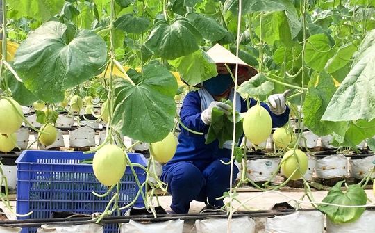 Kiến tạo không gian phát triển cho kinh tế tư nhân: Từ thực tiễn Phú Thọ