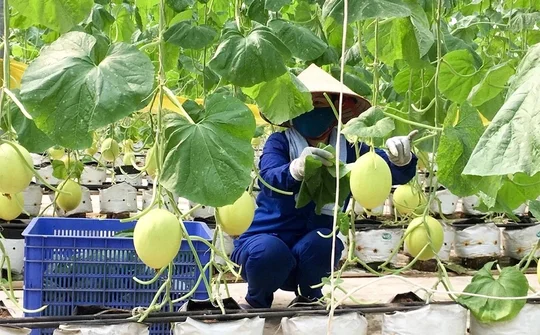 Kiến tạo không gian phát triển cho kinh tế tư nhân: Từ thực tiễn Phú Thọ