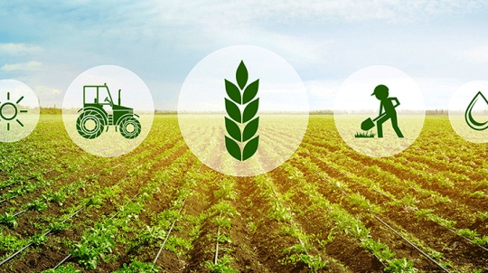Tài chính cho nông nghiệp xanh: Khơi thông nguồn lực cho quá trình chuyển đổi