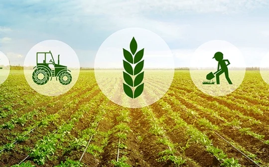 Tài chính cho nông nghiệp xanh: Khơi thông nguồn lực cho quá trình chuyển đổi