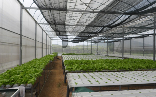 Thanh Hoá ban hành Bộ tiêu chí huyện, xã nông thôn mới nâng cao, giai đoạn 2022 - 2025