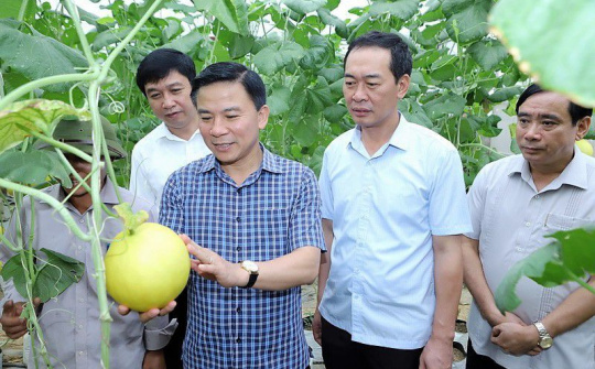 Thanh Hoá: Nhiều chuyển biến mạnh mẽ trong xây dựng nông thôn mới