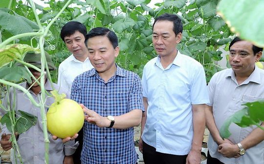 Thanh Hoá: Nhiều chuyển biến mạnh mẽ trong xây dựng nông thôn mới