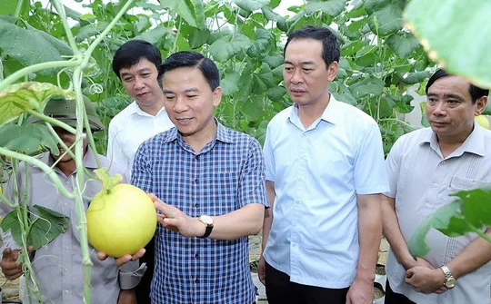 Thanh Hoá: Nhiều chuyển biến mạnh mẽ trong xây dựng nông thôn mới