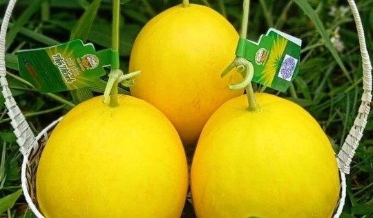 Thanh Hóa đánh giá, xếp hạng sản phẩm OCOP cấp tỉnh đợt 2, năm 2022