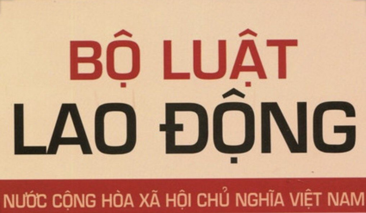 Đánh giá việc thi hành các quy định pháp luật về quan hệ lao động ở Việt Nam hiện nay