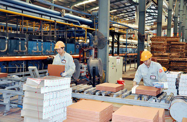 Kinh tế tư nhân - động lực quan trọng của nền kinh tế