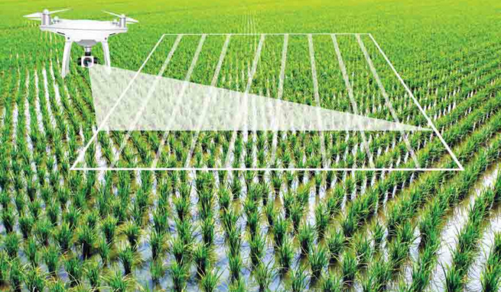 Chuyển đổi số trong nông nghiệp Việt Nam