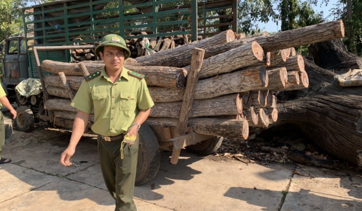 Ea Súp(Đắk Lắk): Tiến hành điều tra, xử lý các vụ khai thác vận chuyển lâm sản trái phép