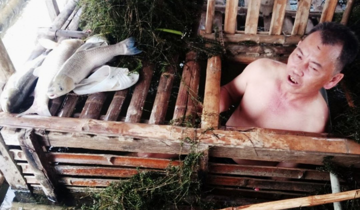 Bá Thước: Cá lại chết bất thường hàng loạt trên dòng sông Mã