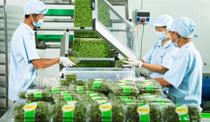 Nâng cao hiệu quả chính sách tín dụng góp phần thúc đẩy phát triển kinh tế tư nhân ở Việt Nam hiện nay