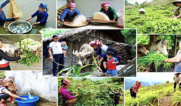 Cương quyết loại bỏ những chính sách không phù hợp để kiến tạo tương lai