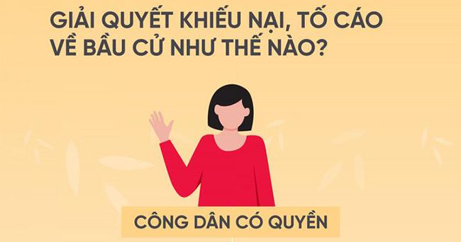 Khiếu nại, tố cáo trong bầu cử đại biểu Quốc hội và đại biểu Hội đồng nhân dân các cấp